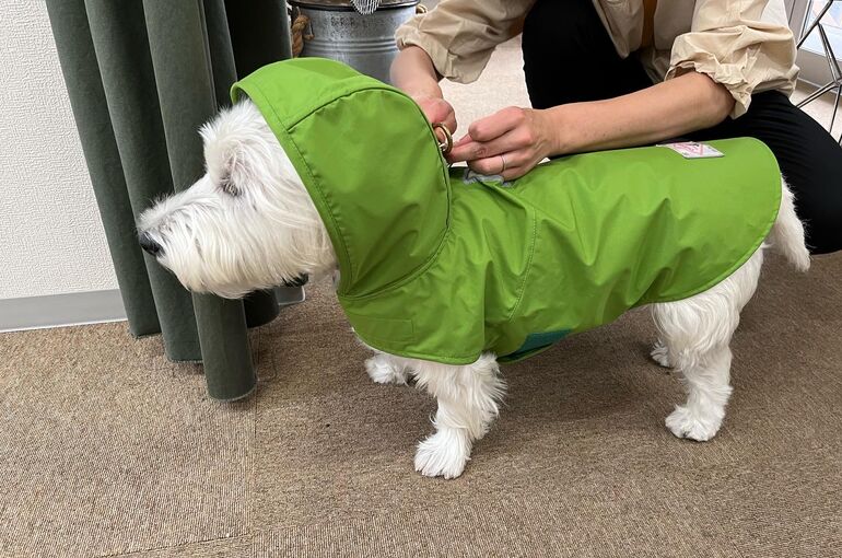 CCEDFBB6-8FBF-4A54-AA20-564C1BD2C3F3